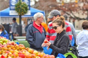 Old Town Farmers Market Virginia 22314